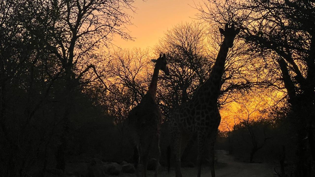 Kruger Kumba - Lahlekile Nathi Apartment Marloth Park Bagian luar foto