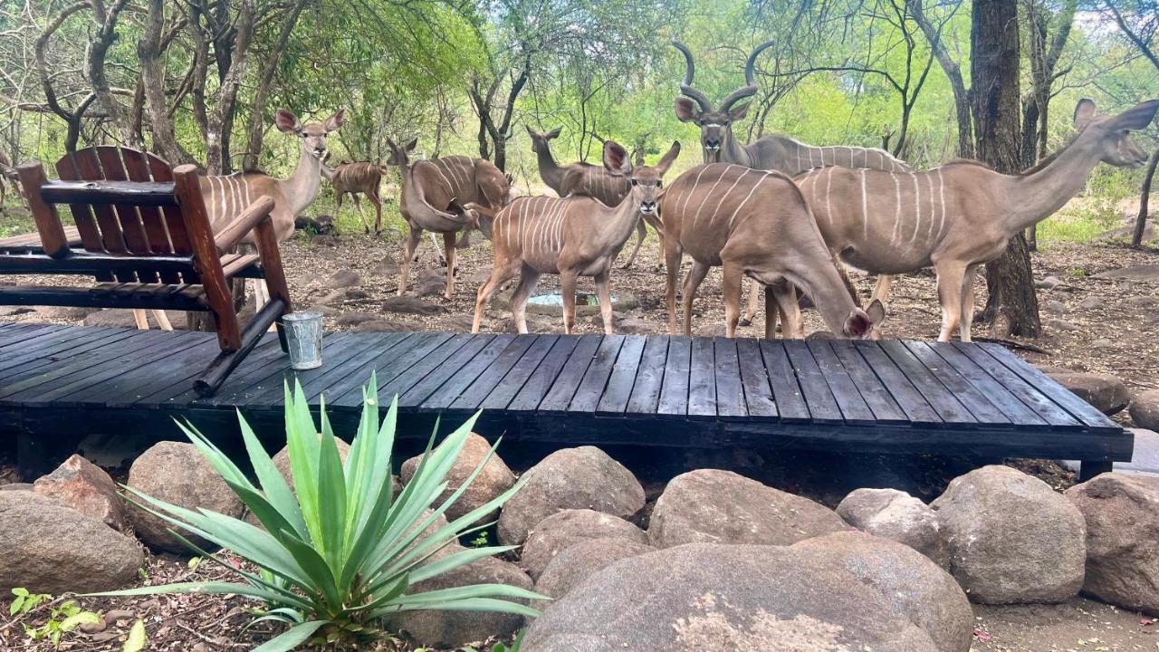 Kruger Kumba - Lahlekile Nathi Apartment Marloth Park Bagian luar foto