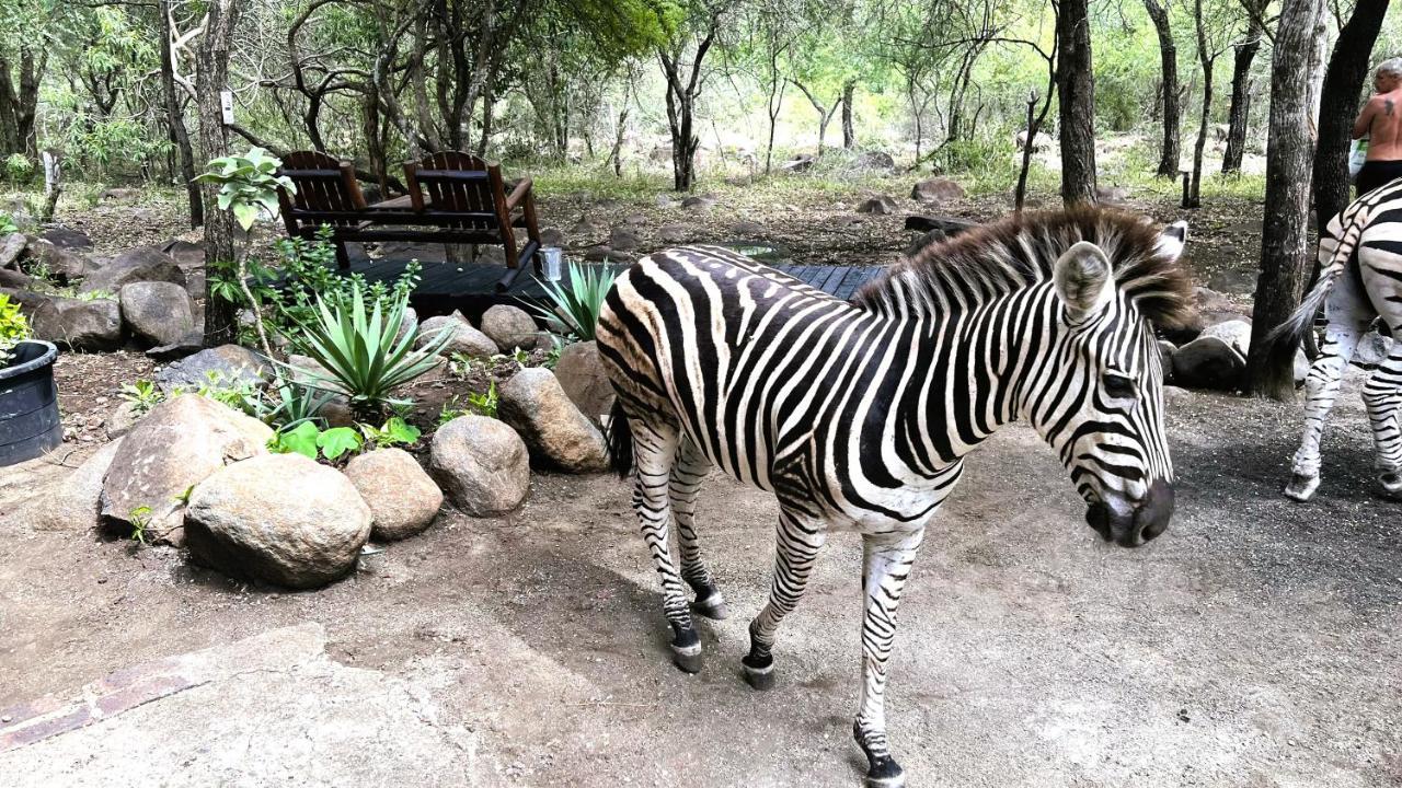 Kruger Kumba - Lahlekile Nathi Apartment Marloth Park Bagian luar foto