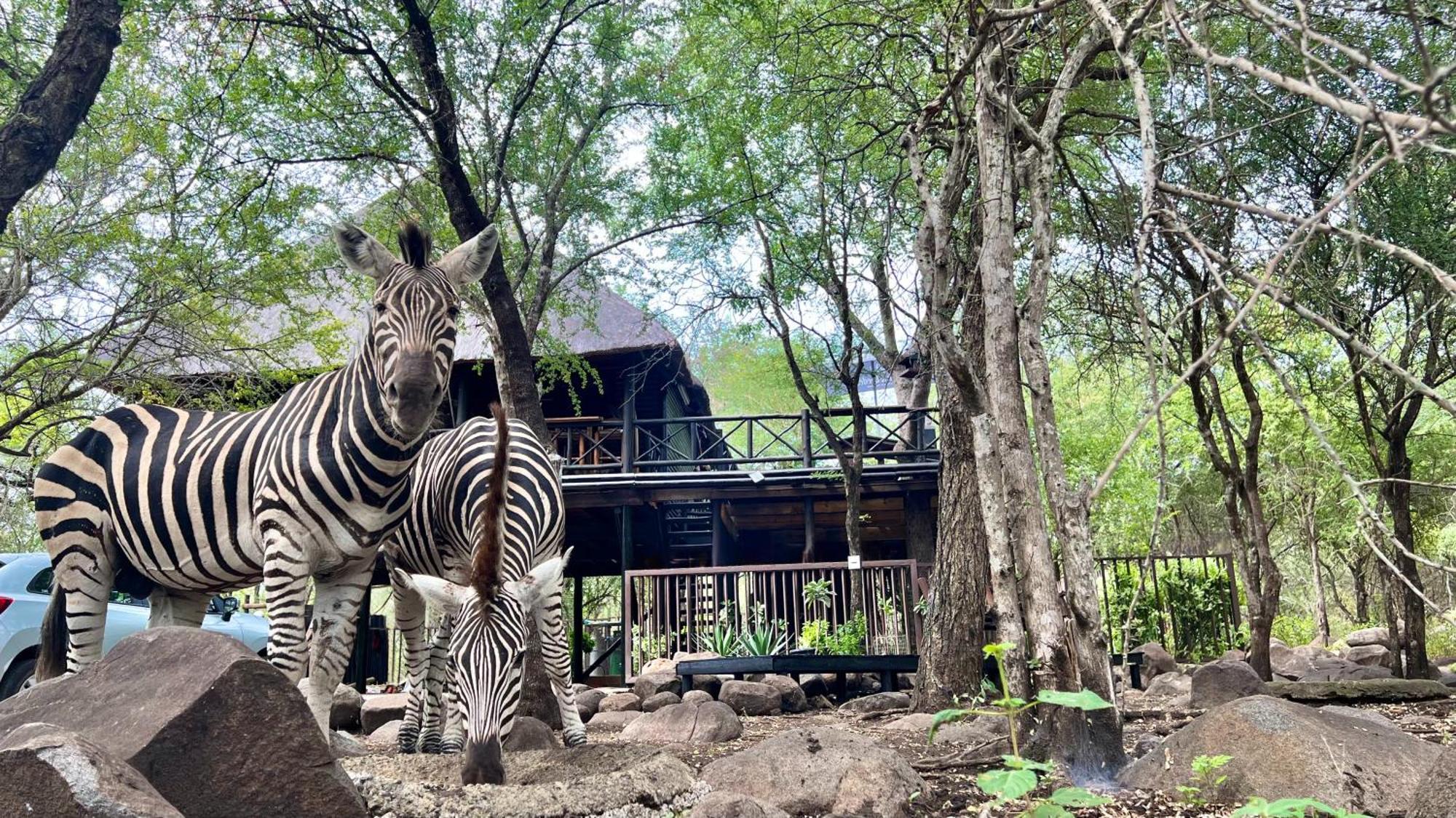 Kruger Kumba - Lahlekile Nathi Apartment Marloth Park Bagian luar foto
